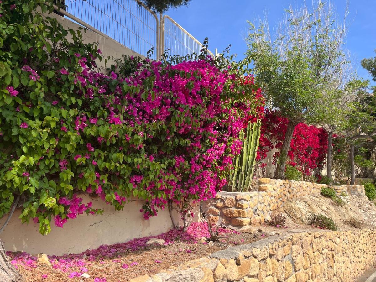 Roymar 14 Playa Lägenhet Benidorm Exteriör bild
