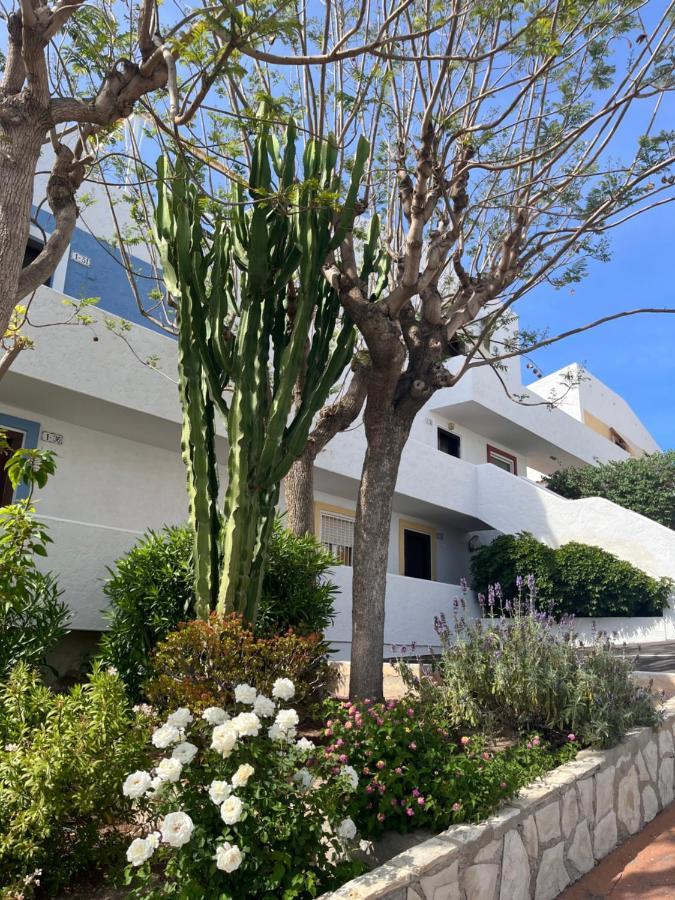 Roymar 14 Playa Lägenhet Benidorm Exteriör bild